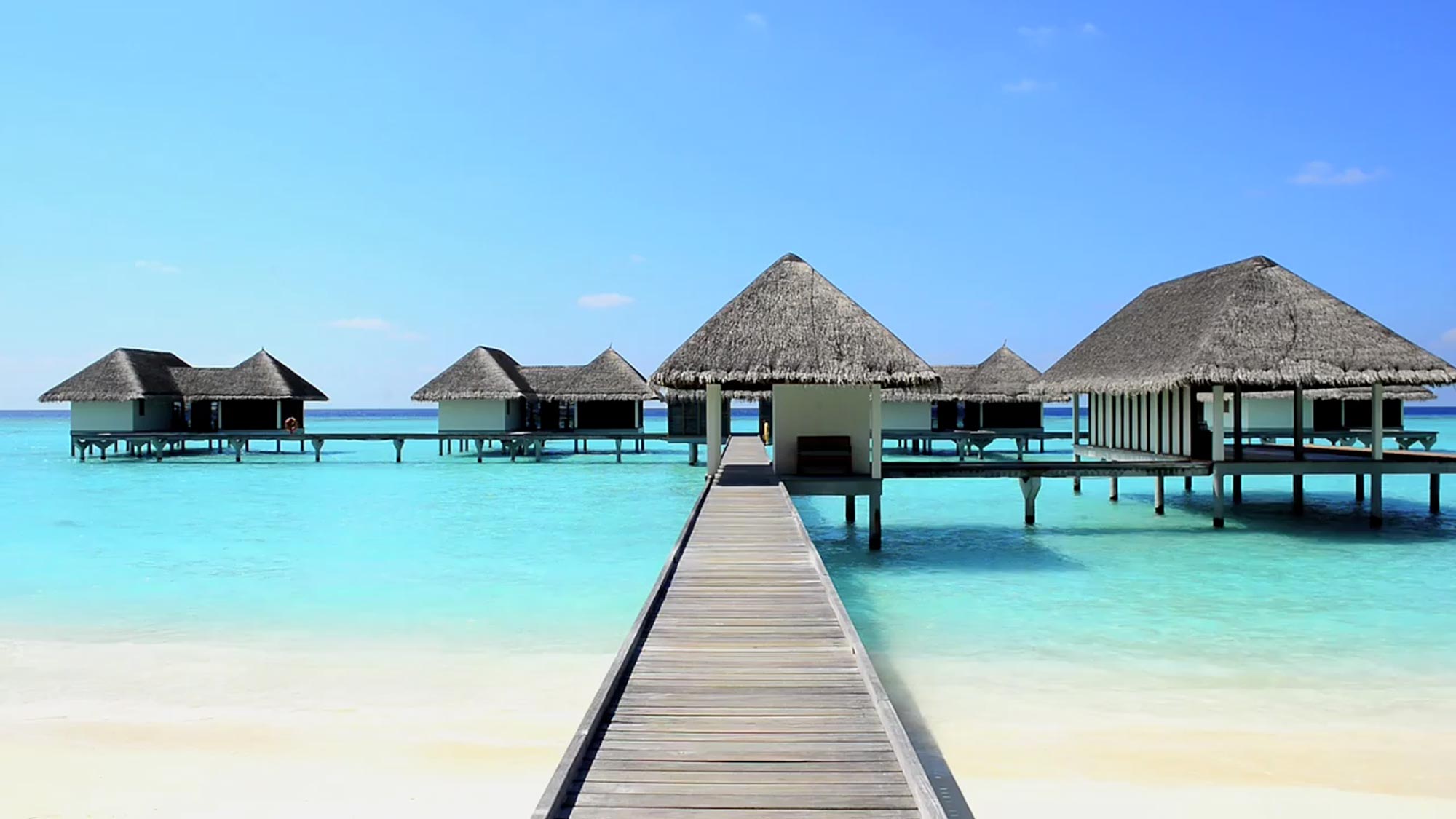 چرا برای یکبار هم که شده باید به مالدیو سفر کرد-شهر فرنگ