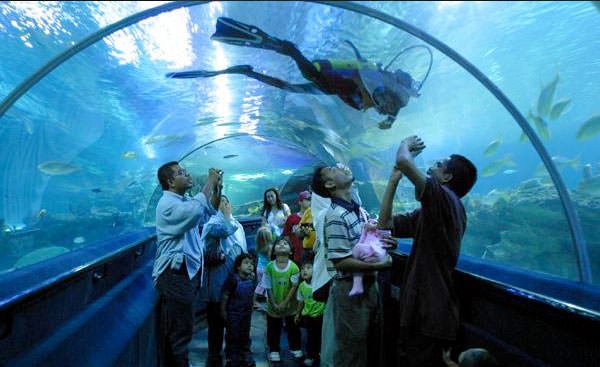 600-aquaria